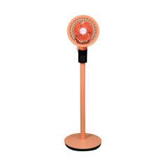 BALENO SF 8 BAAC – APRİCOT CRUSH